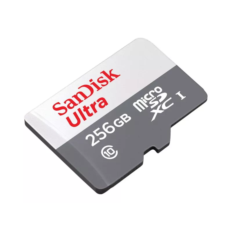Memoria flash SanDisk 256 GB MicroSDXC UHS-I SDSQUNR-256G-GN6TA