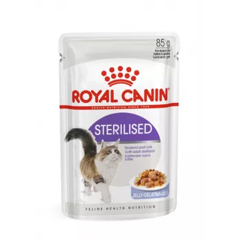 ROYAL CANIN FHN Sterilised en salsa – Comida húmeda para gatos adultos – 12x85g
