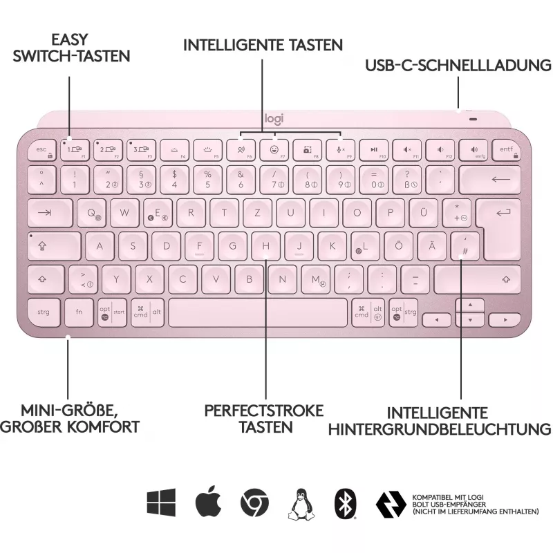 Teclado inalámbrico iluminado minimalista Logitech MX Keys Mini - ROSE - CENTRAL (DE)