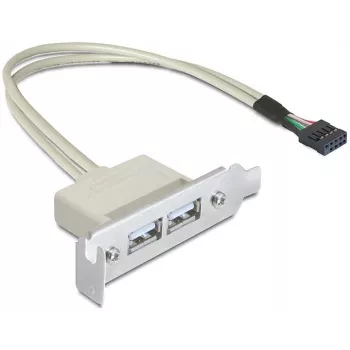 Chapa de ranura USB 2.0 DeLOCK 0,5 m