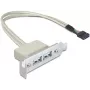 Chapa de ranura USB 2.0 DeLOCK 0,5 m