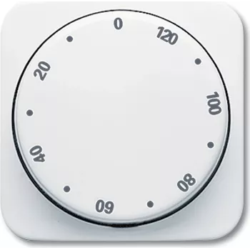 Busch Jaeger 1753-0-6307 Placa de pared/tapa de interruptor blanca (1753-0-6307)