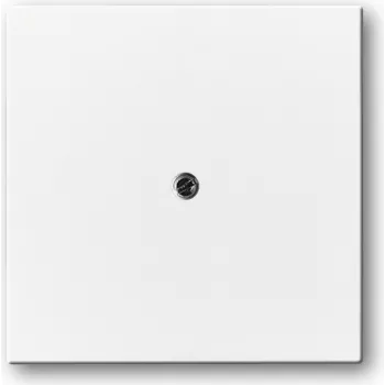 BUSCH JAEGER 1710-0-3173 - Blanco - convencional - Busch-Jaeger - 63 mm - 63 mm - 1 ud.