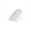 NATEC Crake 2 ratón, universal, para diestros, RF Wireless + Bluetooth, óptico, 2400 DPI
