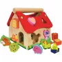 Casa de encaje, juego de habilidad 15 piezas