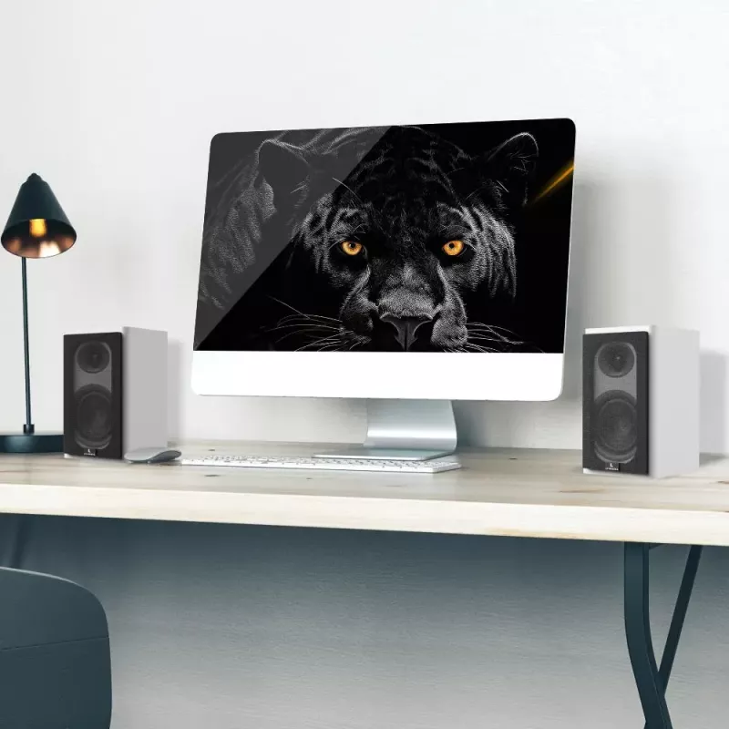 Altavoz portátil Laudberg XS1W altavoz de estantería 2.0 blanco