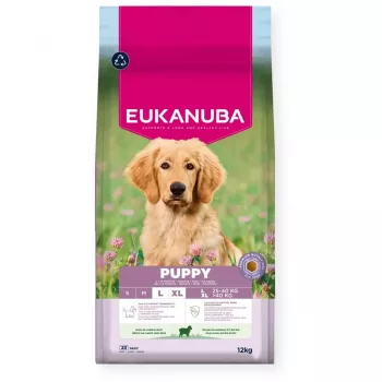 EUKANUBA Puppy L XL rico en cordero y arroz - Pienso seco para perros - 12kg