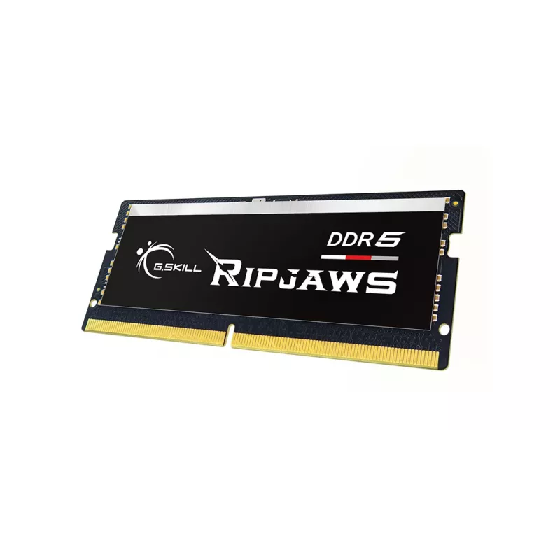 Módulo de memoria G.Skill Ripjaws F5-4800S4039A16GX1-RS 16 GB 1 x 16 GB DDR5 4800 MHz
