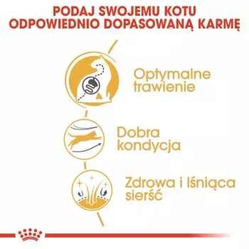 Royal Canin Bengal Adult comida seca para gatos 2 kg — aves, 40 % proteína, 18 % grasa, cuidado digestivo y de la piel