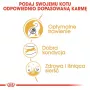 Royal Canin Bengal Adult pienso seco para gatos, 2 kg, aves y verduras