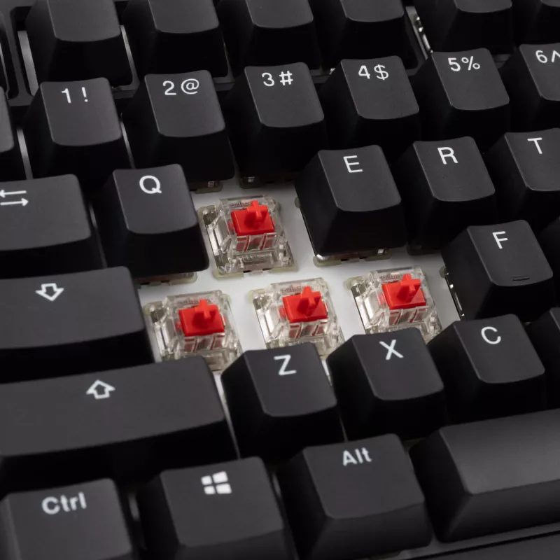 Ducky Tinker 75 Teclado Gaming USB Inglés US Negro