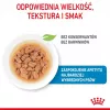 ROYAL CANIN SHN Mini Puppy en salsa - Comida húmeda para cachorros - 12X85g