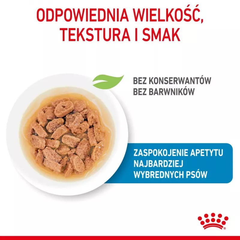 ROYAL CANIN SHN Mini Puppy en salsa - Comida húmeda para cachorros - 12X85g