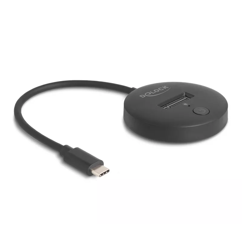 Estación de acoplamiento M.2 DeLOCK 64254 USB 3.2 Gen 1 Type-C NVMe SATA