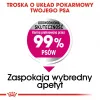 Royal Canin Mini Exigent alimento seco para perros exigentes, 1 kg