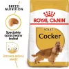 Royal Canin Cocker Adult pienso seco para perros, 12 kg