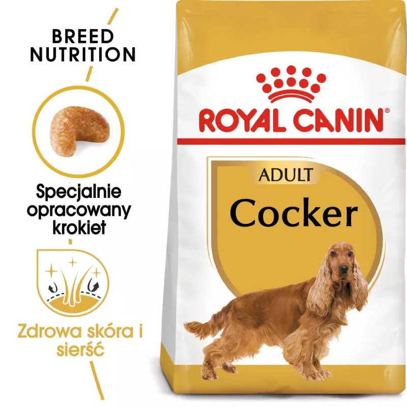 Royal Canin Cocker Adult pienso seco para perros, 12 kg