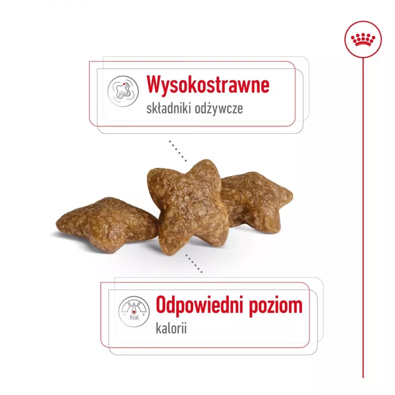 ROYAL CANIN Adult Mini S - Pienso seco para perros - 4 kg