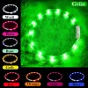 Collar LED Anicoll verde para perros y gatos modelo iluminación recargable