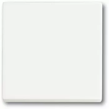 Interruptor de luz Busch-Jaeger 1751-0-3027 — carcasa de plástico, blanco, control por botón, 63×63 mm