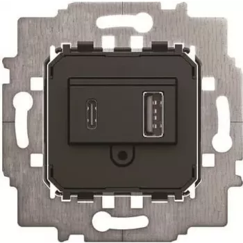 BJ 6475 U Fuente de alimentación - inserto USB A+C (2CKA006400A0398)