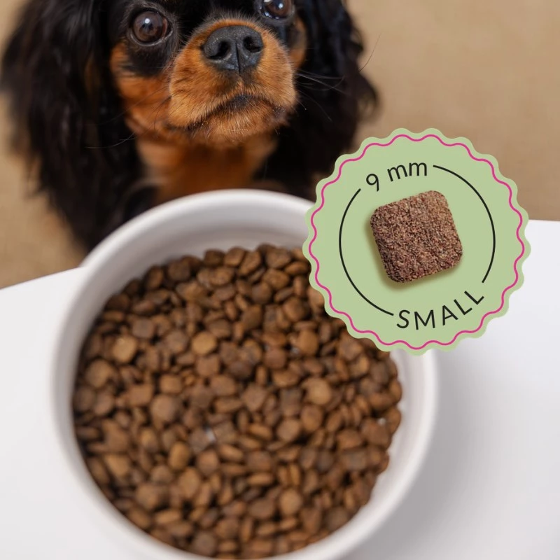 ADDVENA Boosted by superfoods Junior Small Beef - pienso seco para perros - 2,5 kg