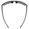 Gafas de protección UVEX LGL 29 – modelo 53/0/947/2216/UNI, montura negra