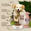 VETEXPERT Raw Paleo Healthy Grain Puppy salmón y cebada comida seca para perros 2 kg