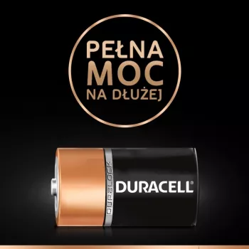Duracell Basic D (R20) pila — pack de 2, pilas primarias de zinc-carbono