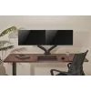 Brazo de monitor up up Economical Interactive Counterbalance doble brazo matte black VESA 75x75/100x100