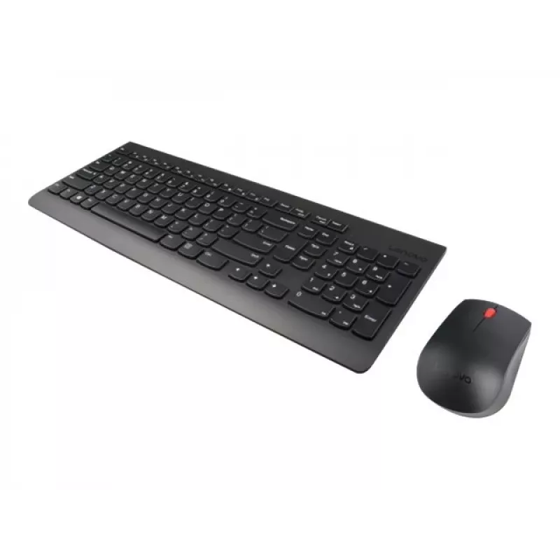 Lenovo GX30N81776 Teclado ratón incluido universal negro