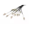 Cable breakout Digitus DK-2433CU030BK-BBB 30 m OM4 12 fibras LC/UPC