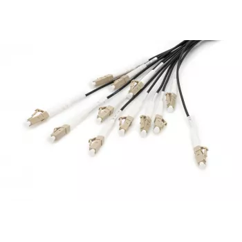 Cable breakout Digitus DK-2433CU030BK-BBB 30 m OM4 12 fibras LC/UPC