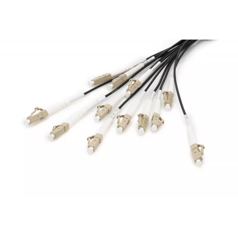 Cable breakout Digitus DK-2433CU030BK-BBB 30 m OM4 12 fibras LC/UPC