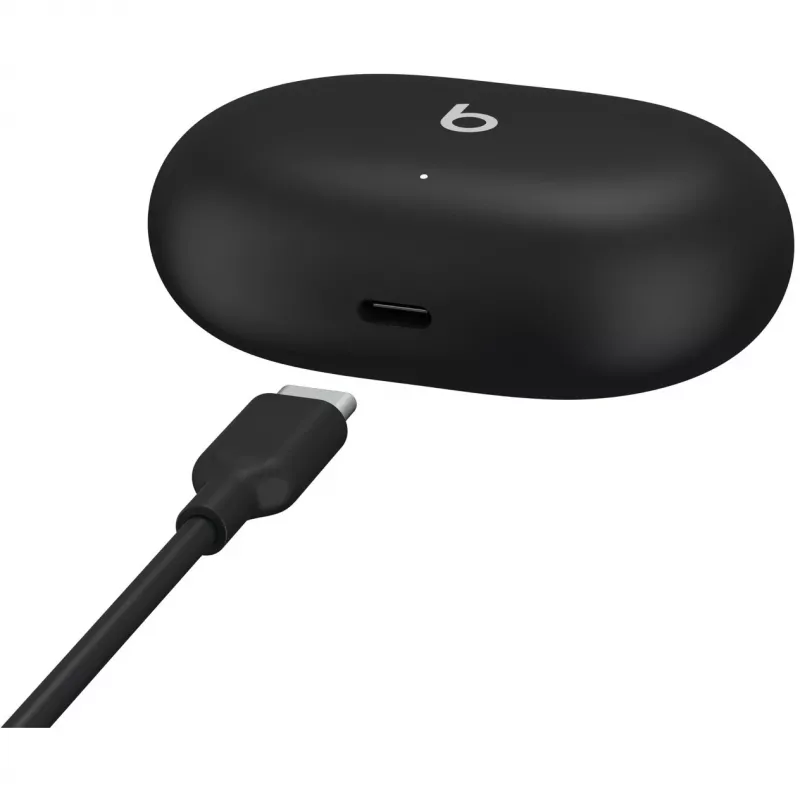 Beats Studio Buds – Auriculares True Wireless con cancelación de ruido – negro, A2512 A2513 A2514