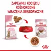 Royal Canin FHN Kitten Sterilised comida húmeda para gatos en salsa, pack de 12 x 85 g