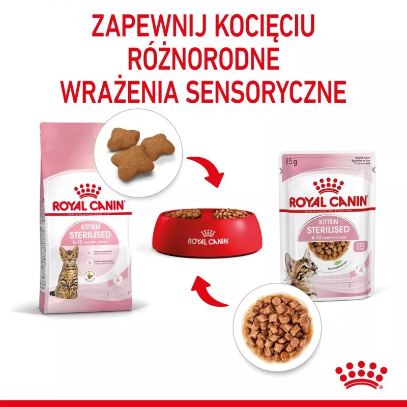 Royal Canin FHN Kitten Sterilised comida húmeda para gatos en salsa, pack de 12 x 85 g
