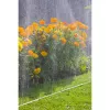 GARDENA manguera de riego 7,5 m (1995-20)