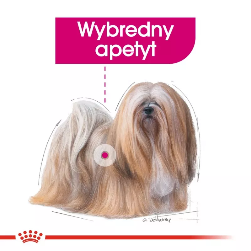 Comida húmeda para perros Royal Canin Exigent Meat Universal 12×85 g — aves, adulto, para perros exigentes