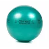 Balón de rehabilitación de ABS con bomba, 65 cm