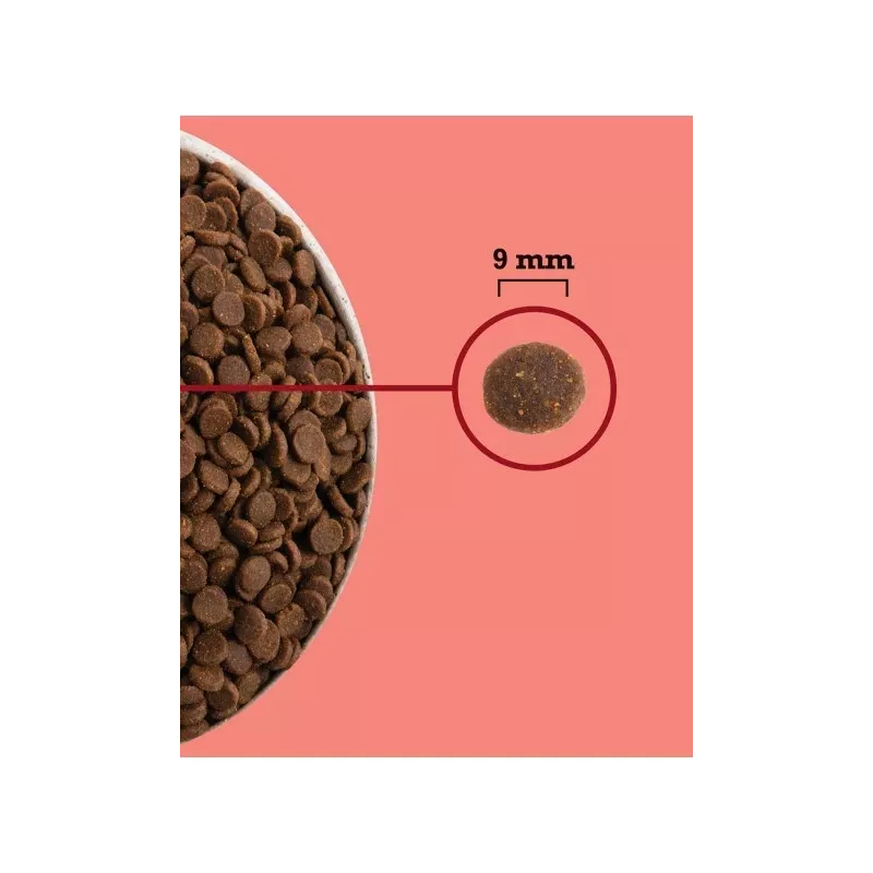 ACANA Highest Protein Interior Cat - pienso para gatos - 1,8kg