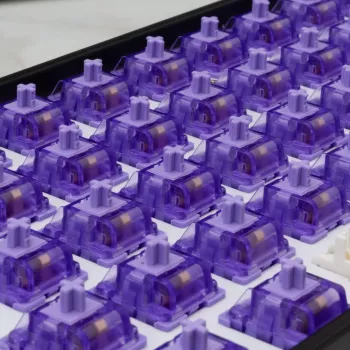 White Shark Purplepulse interruptores mecánicos 25 uds.