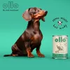 OLLO Umami ganso y pavo - pienso húmedo para perros - 850 g