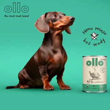 OLLO Umami ganso y pavo - pienso húmedo para perros - 850 g