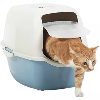 Arenero para gatos con tapa Rotho Bailey 560×400×390 mm, azul/blanco, filtro de carbón, asa, puerta abatible