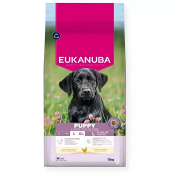 Pienso seco para perros EUKANUBA Puppy Large Chicken 15 kg — pienso para cachorros de razas grandes y gigantes, 26,5 % proteína