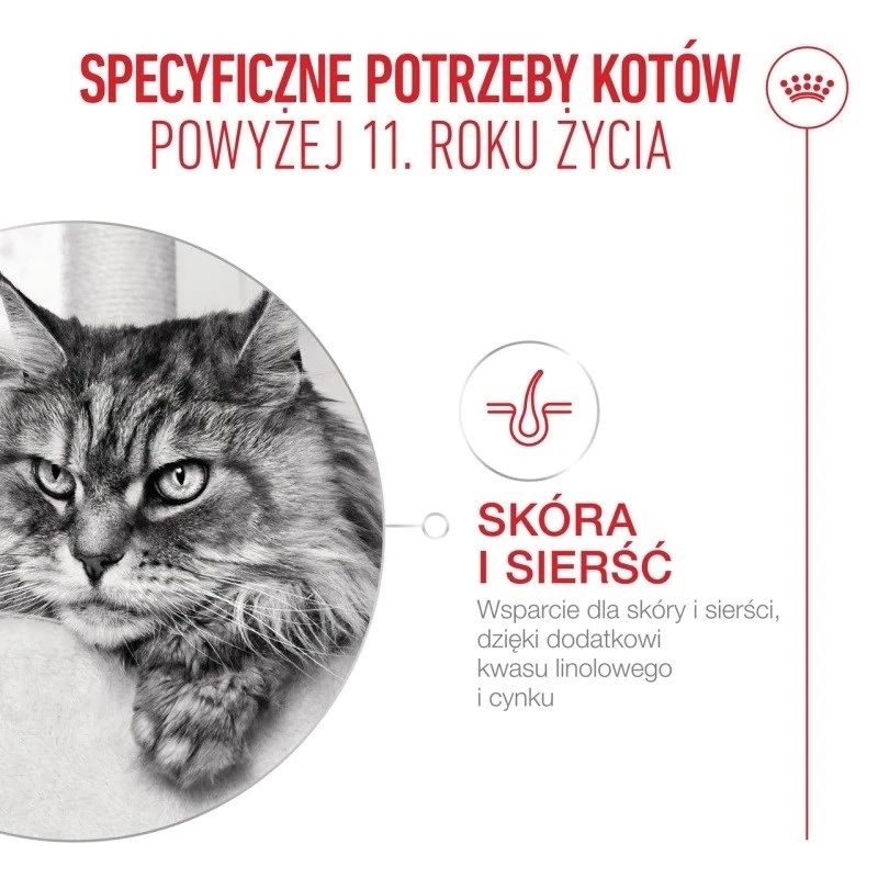 Comida seca para gatos Royal Canin FHN Ageing 11+ 4 kg — alimento completo para gatos mayores, ave, 30% proteína