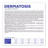 VET EXPERT Veterinary Diet Dermatosis perro salmón y patata - pienso para perros - 2 kg