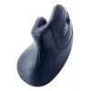 Ratón Gembird MUSW-ERGO-03 hogar diestro RF inalámbrico óptico 1600 DPI