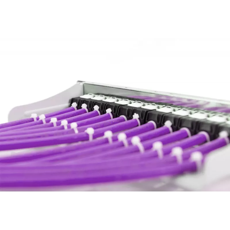 DIGITUS - Cable a granel - 100,0 m - UTP - CAT 6 - Violeta (DK-1613-VH.1)